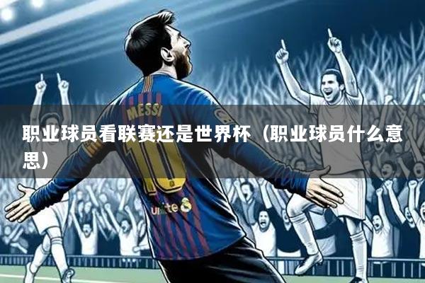 职业球员看联赛还是世界杯（职业球员什么意思）