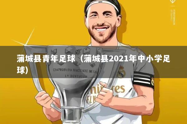 蒲城县青年足球（蒲城县2021年中小学足球）