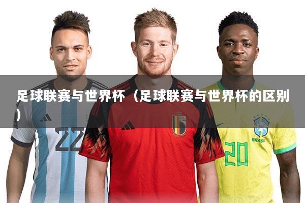 足球联赛与世界杯（足球联赛与世界杯的区别）