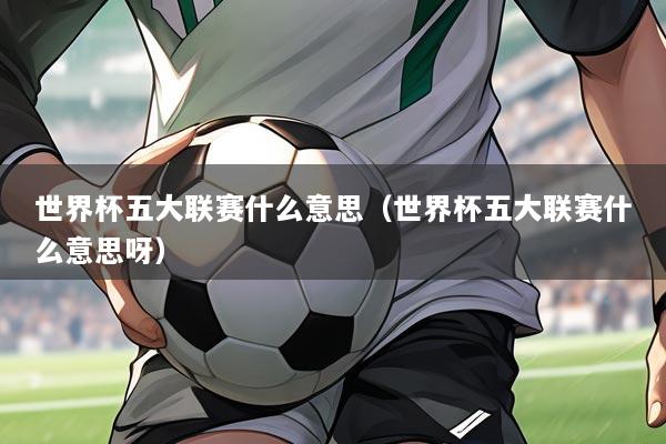 世界杯五大联赛什么意思（世界杯五大联赛什么意思呀）