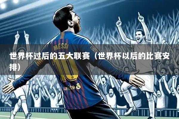 世界杯过后的五大联赛（世界杯以后的比赛安排）