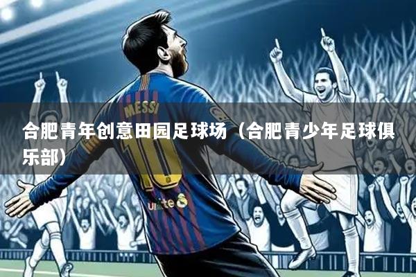 合肥青年创意田园足球场（合肥青少年足球俱乐部）