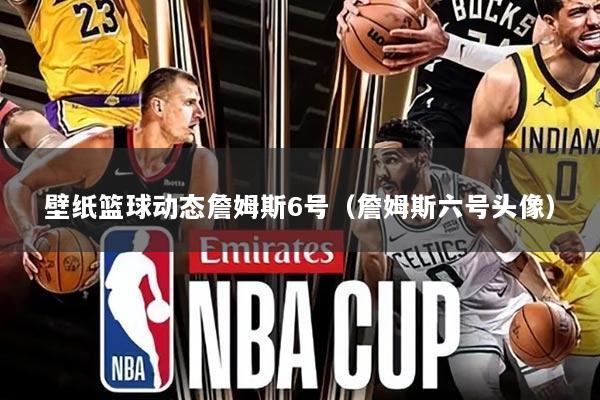 壁纸篮球动态詹姆斯6号(詹姆斯六号头像)