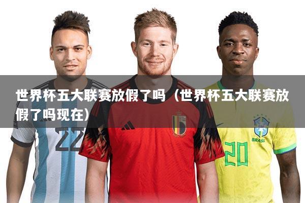 世界杯五大联赛放假了吗（世界杯五大联赛放假了吗现在）