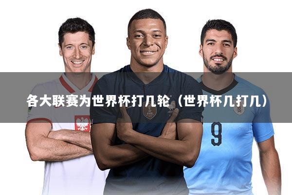 各大联赛为世界杯打几轮（世界杯几打几）