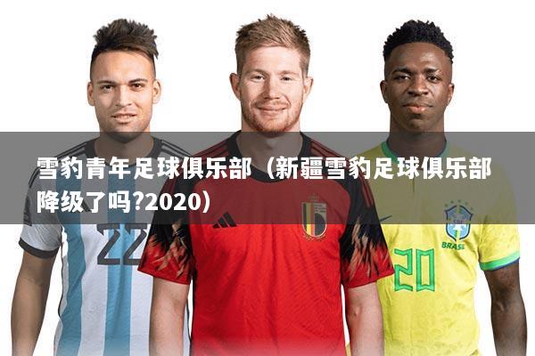 雪豹青年足球俱乐部（新疆雪豹足球俱乐部 降级了吗?2020）