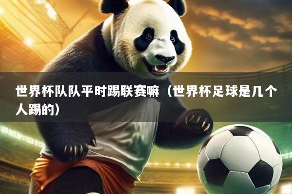 世界杯队队平时踢联赛嘛（世界杯足球是几个人踢的）
