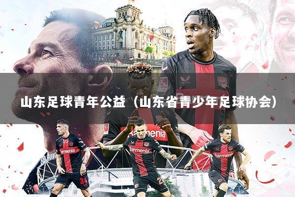 山东足球青年公益（山东省青少年足球协会）