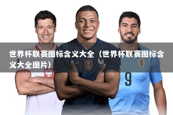 世界杯联赛图标含义大全（世界杯联赛图标含义大全图片）