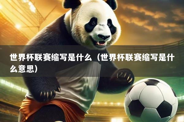 世界杯联赛缩写是什么（世界杯联赛缩写是什么意思）