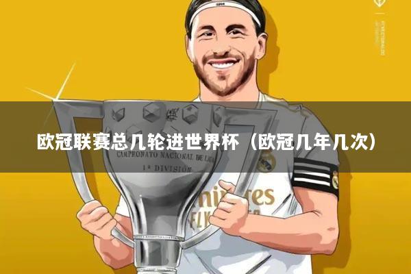 欧冠联赛总几轮进世界杯(欧冠几年几次)
