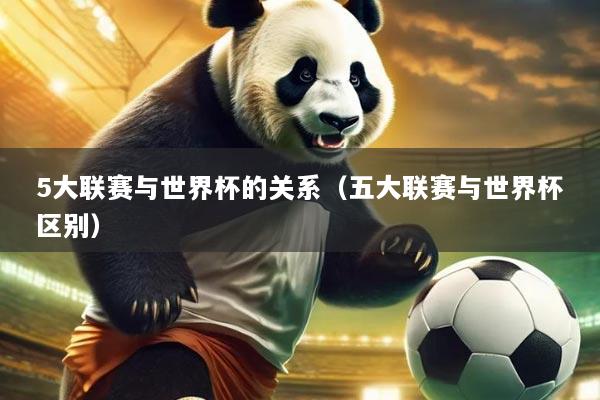 5大联赛与世界杯的关系（五大联赛与世界杯区别）