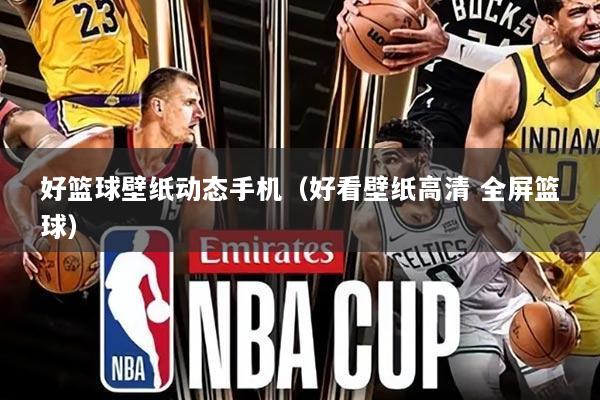 好篮球壁纸动态手机(好看壁纸高清 全屏篮球)