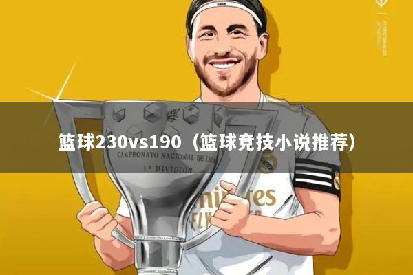 篮球230vs190（篮球竞技小说推荐）