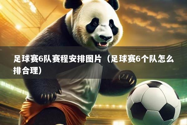 足球赛6队赛程安排图片（足球赛6个队怎么排合理）