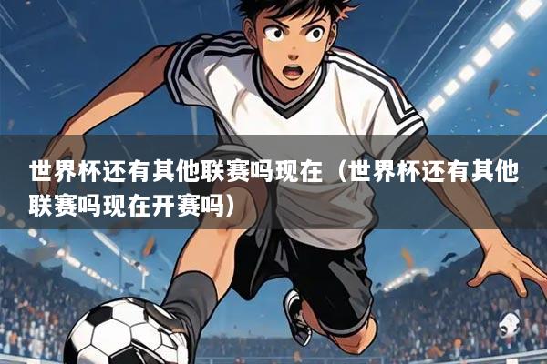 世界杯还有其他联赛吗现在(世界杯还有其他联赛吗现在开赛吗)