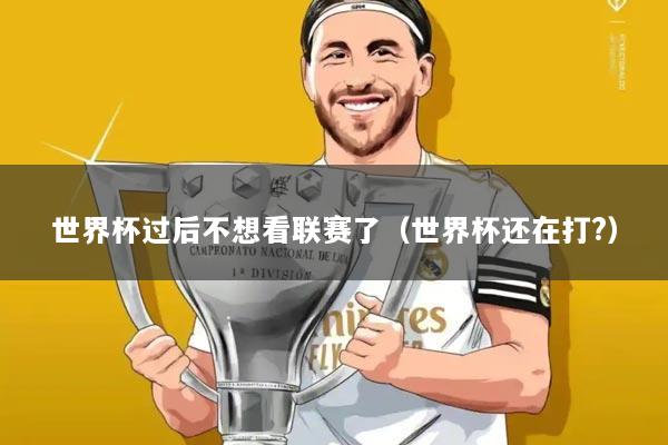 世界杯过后不想看联赛了(世界杯还在打?)