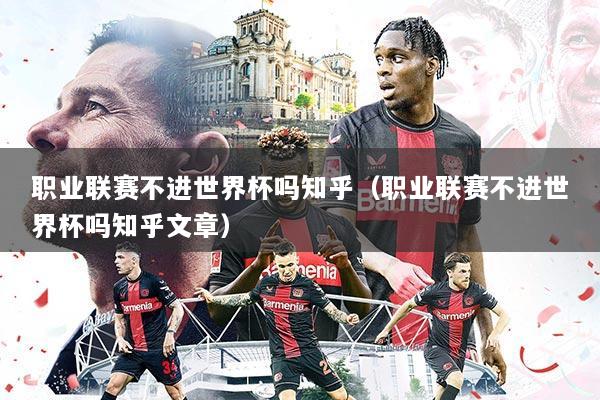 职业联赛不进世界杯吗知乎(职业联赛不进世界杯吗知乎文章)