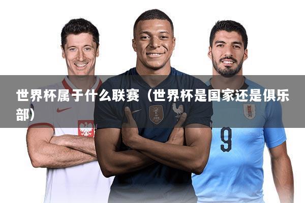 世界杯属于什么联赛(世界杯是国家还是俱乐部)