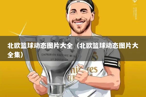 北欧篮球动态图片大全（北欧篮球动态图片大全集）