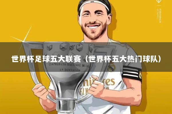 世界杯足球五大联赛（世界杯五大热门球队）