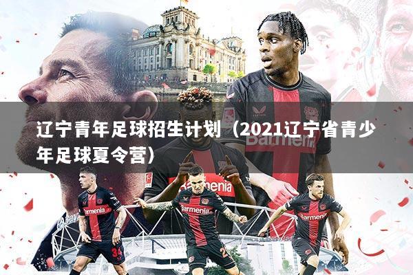 辽宁青年足球招生计划(2021辽宁省青少年足球夏令营)