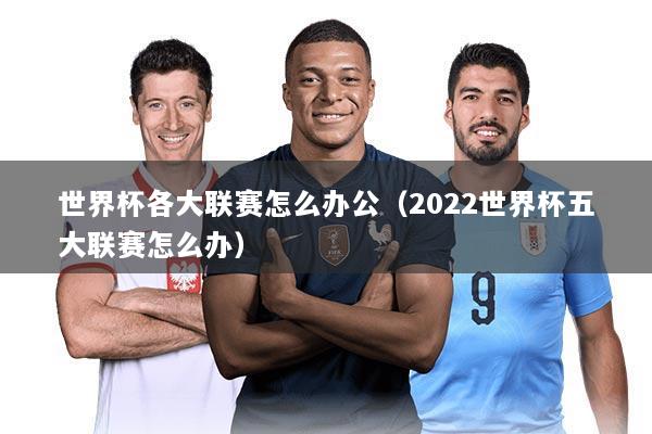 世界杯各大联赛怎么办公（2022世界杯五大联赛怎么办）