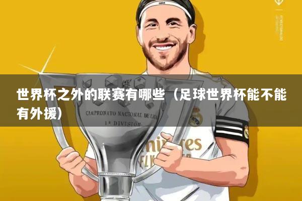 世界杯之外的联赛有哪些（足球世界杯能不能有外援）