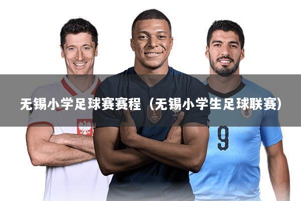 无锡小学足球赛赛程（无锡小学生足球联赛）
