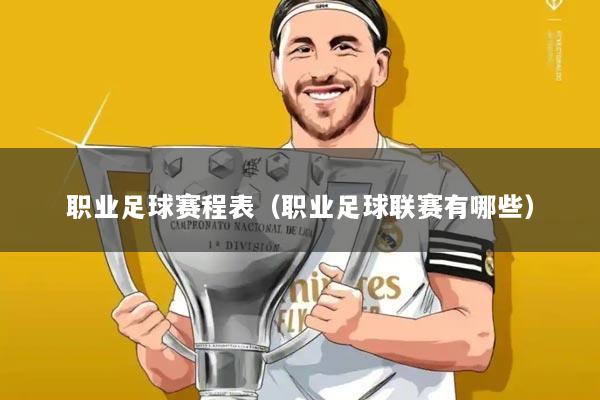 职业足球赛程表（职业足球联赛有哪些）