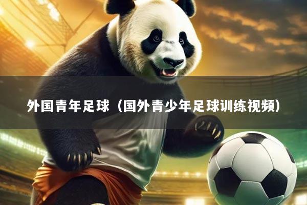 外国青年足球（国外青少年足球训练视频）
