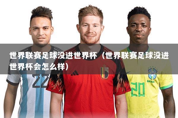 世界联赛足球没进世界杯（世界联赛足球没进世界杯会怎么样）