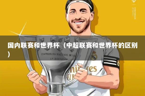 国内联赛和世界杯（中超联赛和世界杯的区别）