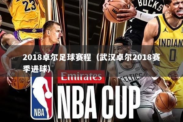 2018卓尔足球赛程（武汉卓尔2018赛季进球）