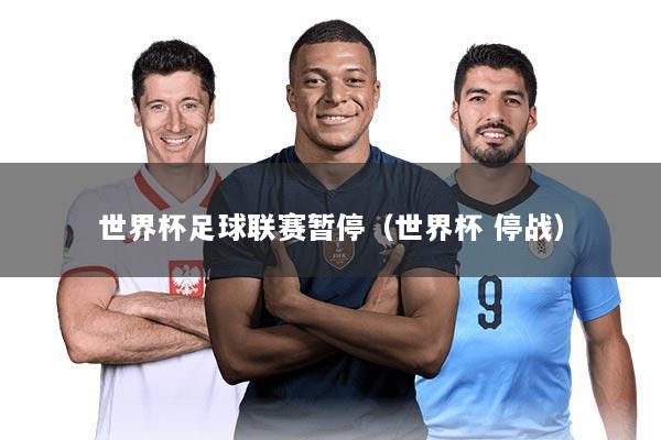 世界杯足球联赛暂停(世界杯 停战)