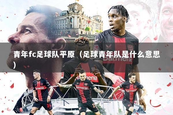 青年fc足球队平原(足球青年队是什么意思)