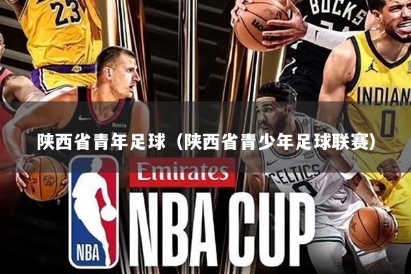 陕西省青年足球（陕西省青少年足球联赛）