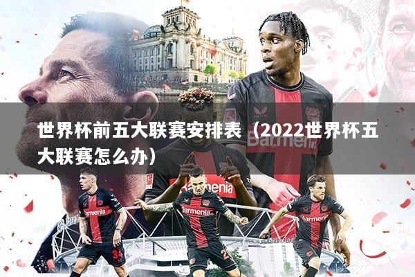 世界杯前五大联赛安排表（2022世界杯五大联赛怎么办）