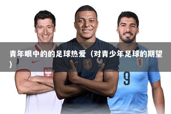 青年眼中的的足球热爱（对青少年足球的期望）