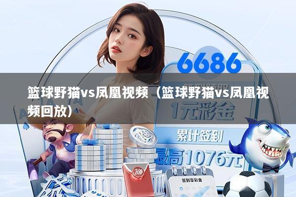 篮球野猫vs凤凰视频（篮球野猫vs凤凰视频回放）