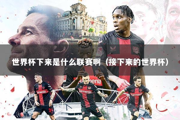 世界杯下来是什么联赛啊（接下来的世界杯）