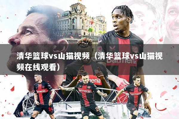 清华篮球vs山猫视频（清华篮球vs山猫视频在线观看）