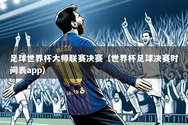足球世界杯大师联赛决赛（世界杯足球决赛时间表app）